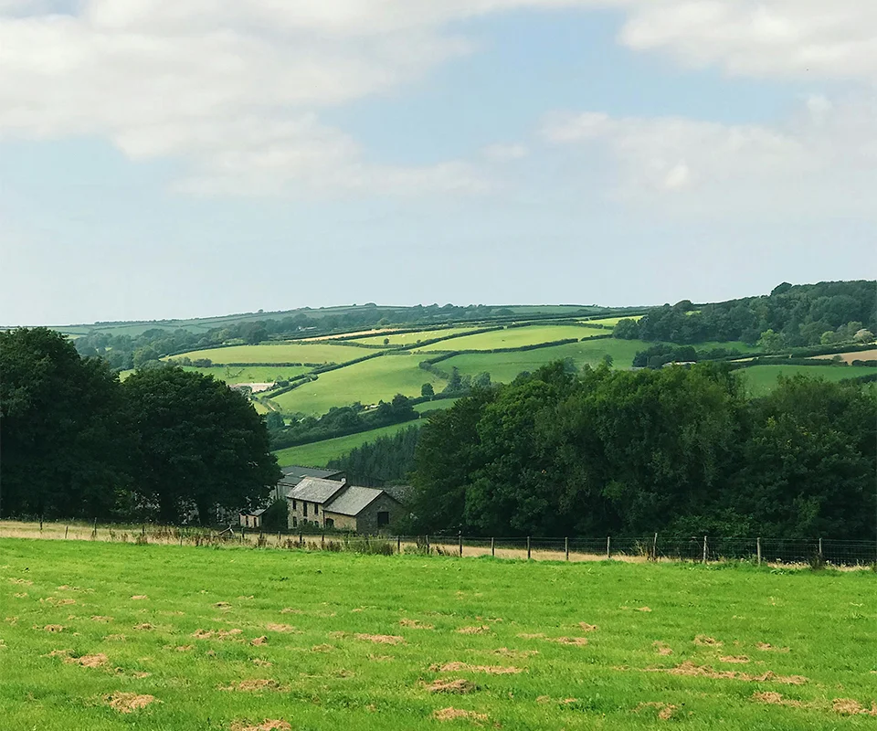 Fields and countryside